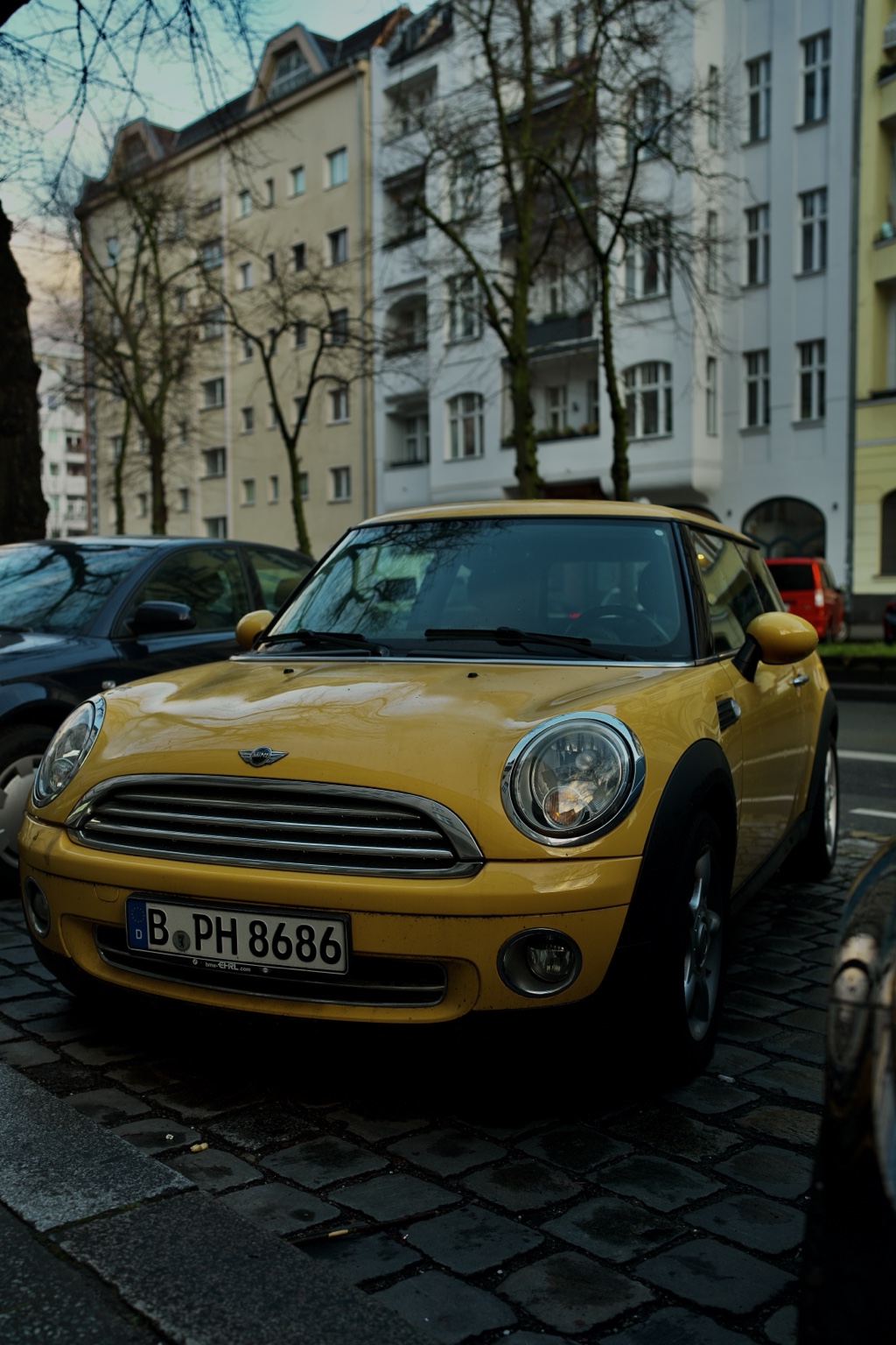 Portfolio image by Xeaiver Bullock